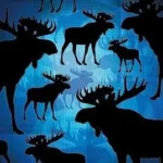 Grytunderlägg Älgar