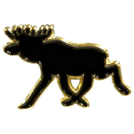 pin älg